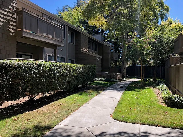 2 bed, 989 sqft, $3,195 — Photo 2