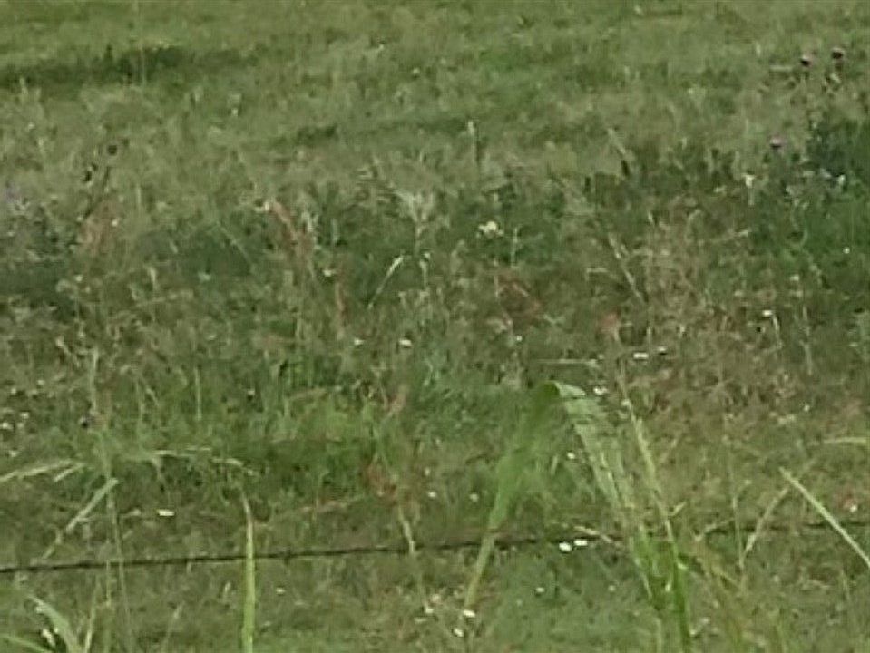 1st image of 3413 Lois Ln