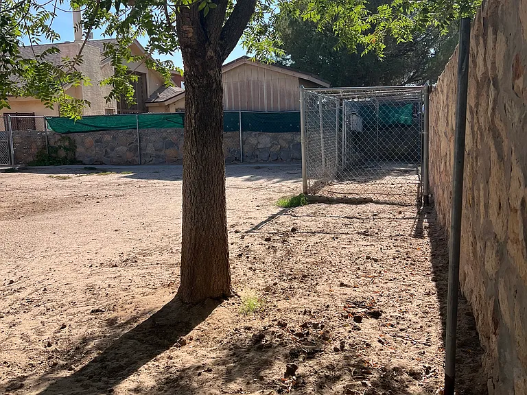 Gambel Quail Dr — Photo 47