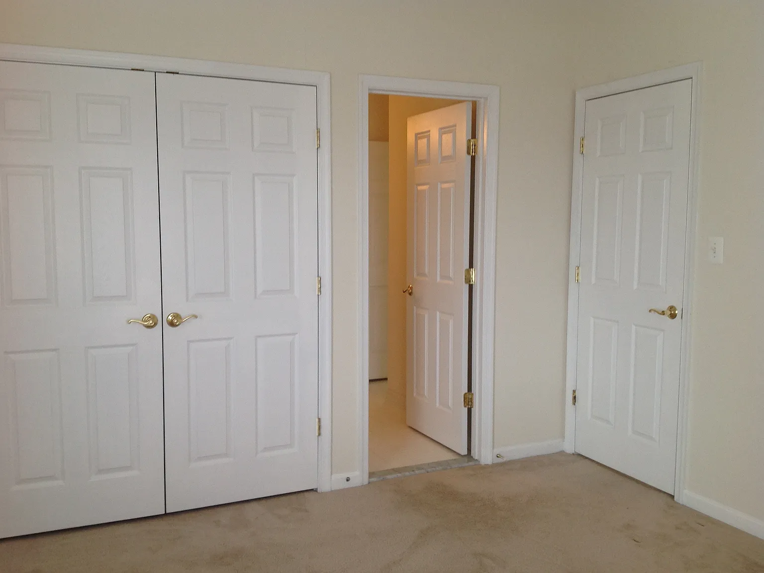 3516 Worthington Blvd #301, Frederick, MD 21704 — Photo 3