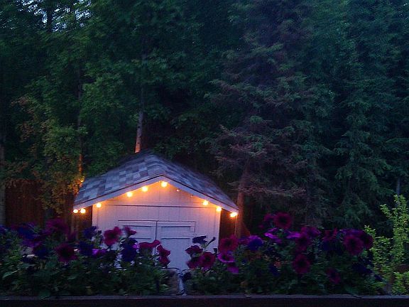 summer night