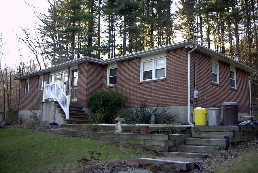 Front view