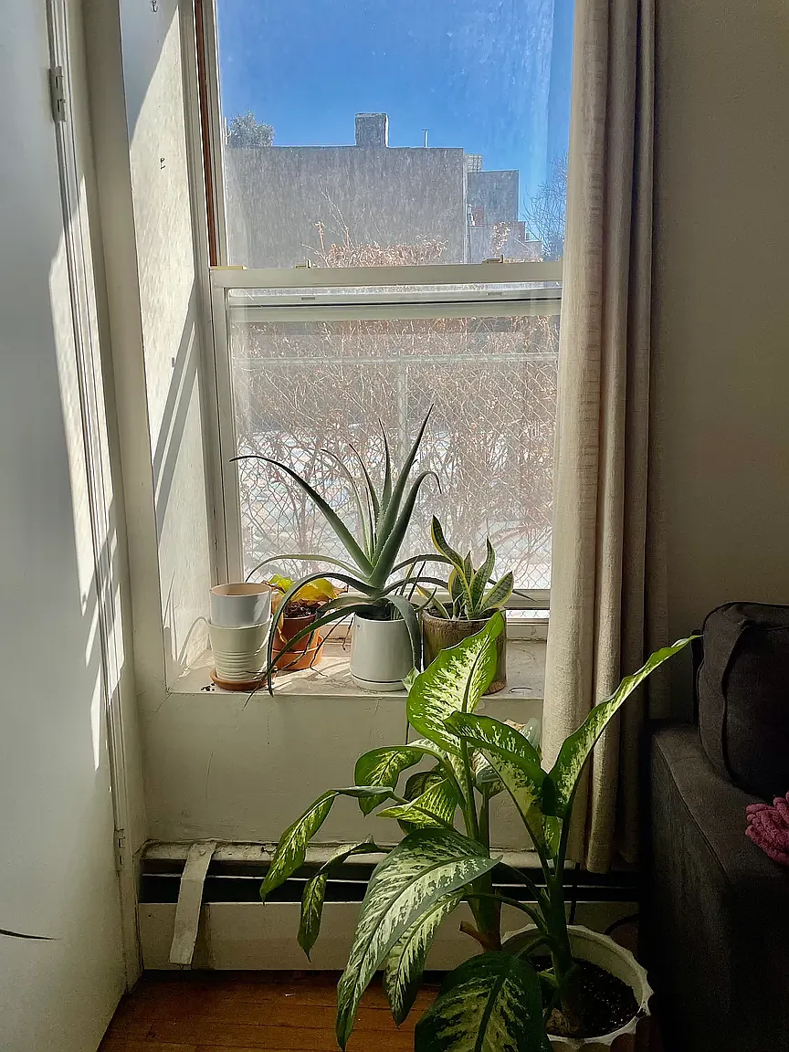 630 Union Street — Photo 3