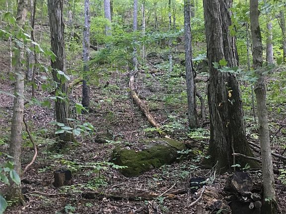 4th image of Off Of County Rd #1944