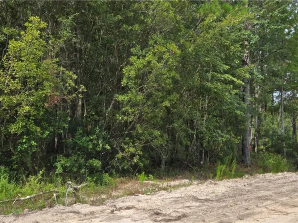7.56 Acre Maple Drive, Ludowici, GA 31316
