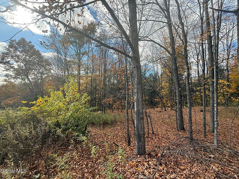 5th image of 1585 Carlton Road