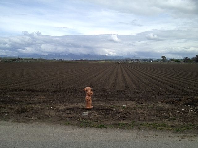 1st image of Lucy Brown Ln