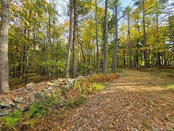 2nd image of TBD Evergreen Lane