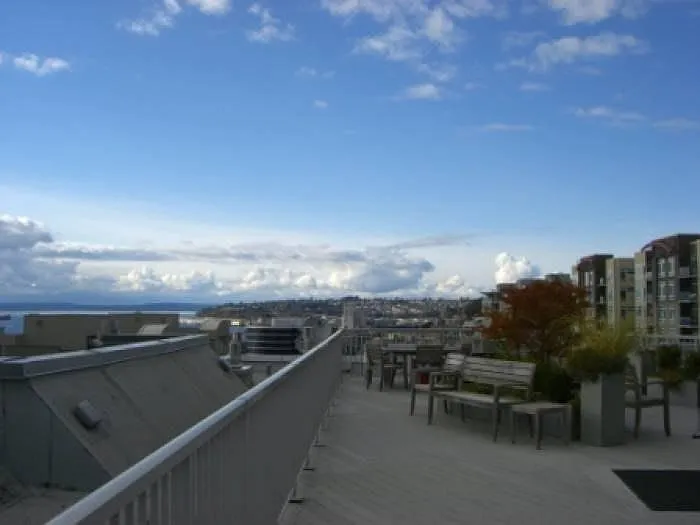 Rooftop w/BBQ