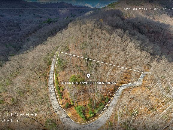 3rd image of Lot 55 Cullowhee Forest Road