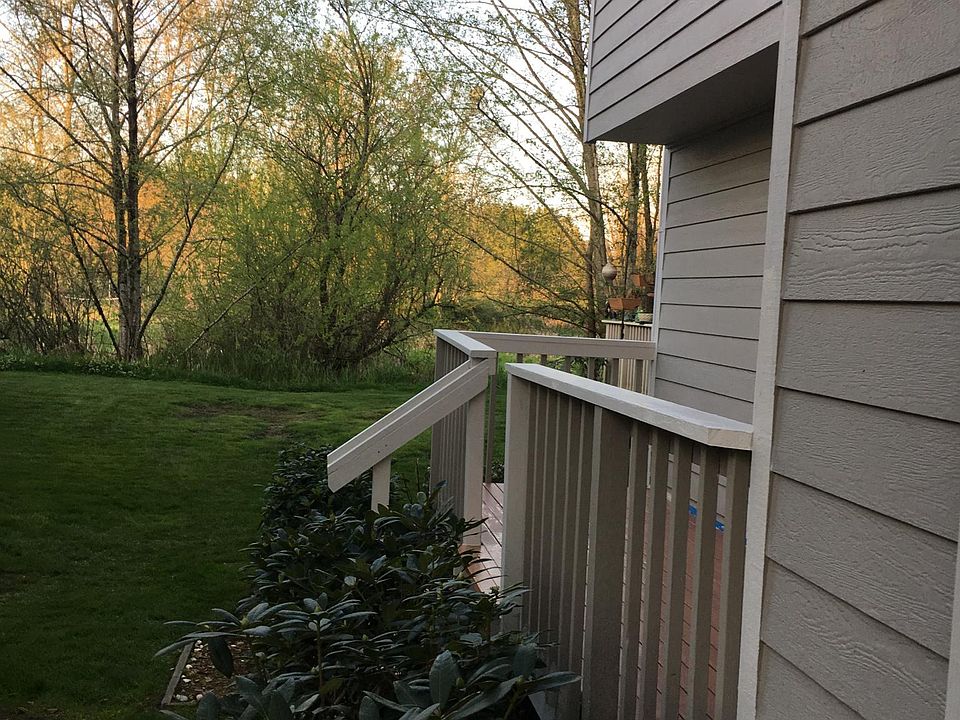 Patio / backyard