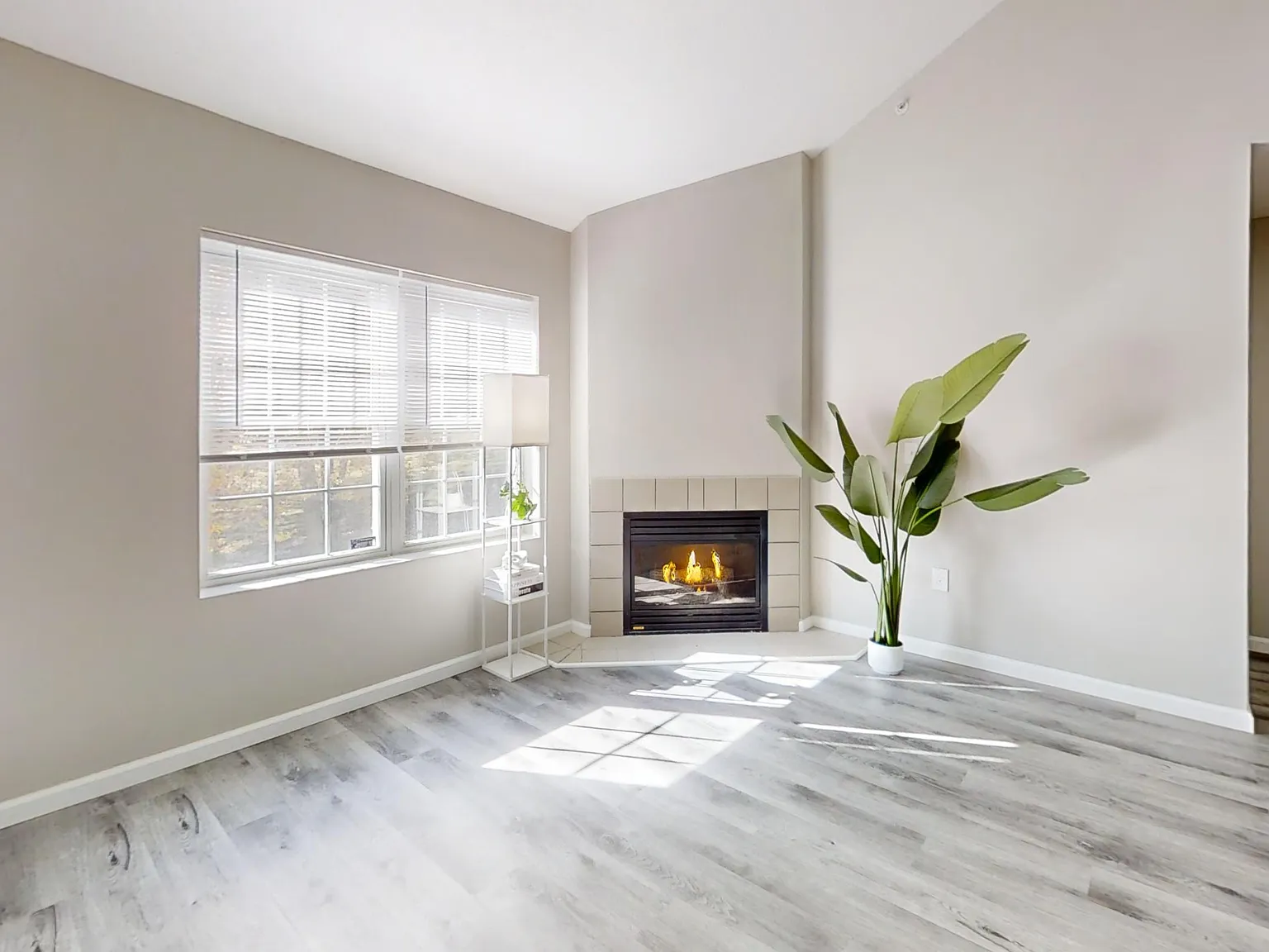 The Manchester Apartment Homes — Photo 3