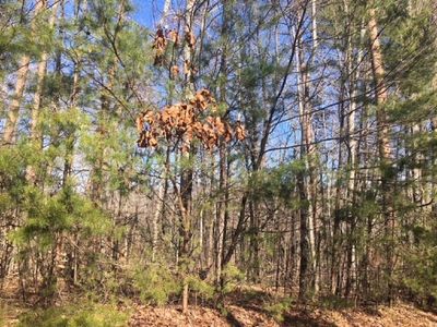 0 Phil Dundee Way #31, Jasper, GA, 30143