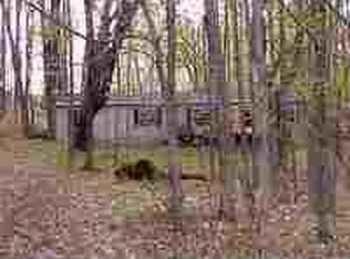 10550 Woodstream Trl, Buckley, MI 49620