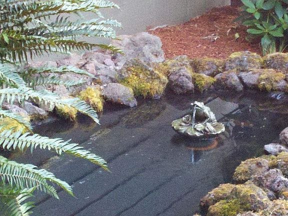 Pond next to covered patio