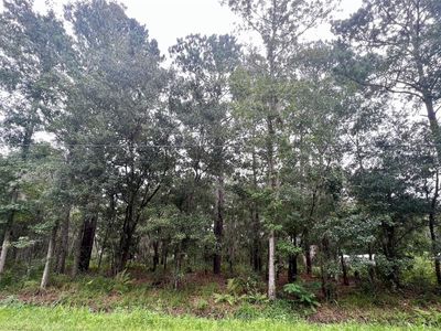 LOT 2 Philips Manor Pl, Fernandina Beach, FL, 32034