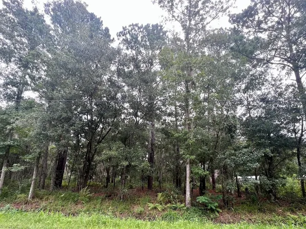 LOT 2 Philips Manor Pl, Fernandina Beach, FL 32034