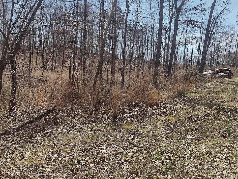 2nd image of 655 County Road 125