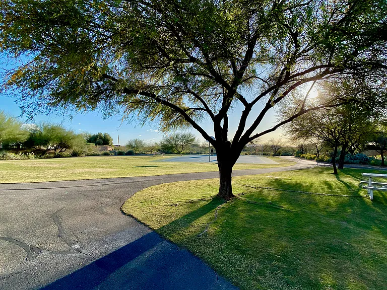 7304 E Laughing Tree Ln — Photo 36