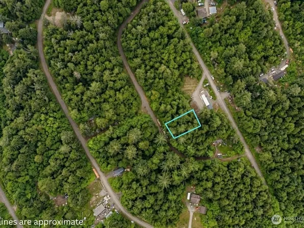 0 xxx Hummingbird Drive, Taholah, WA 98587