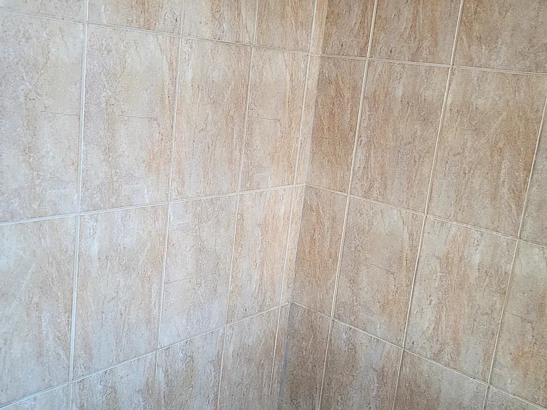 3212 Live Oak St #2 — Photo 23