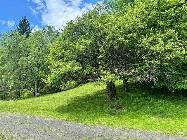 228 Staab Rd — Photo 31