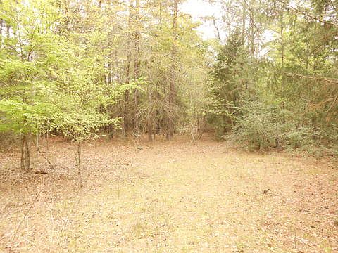 2nd image of 1686 County Road 2125