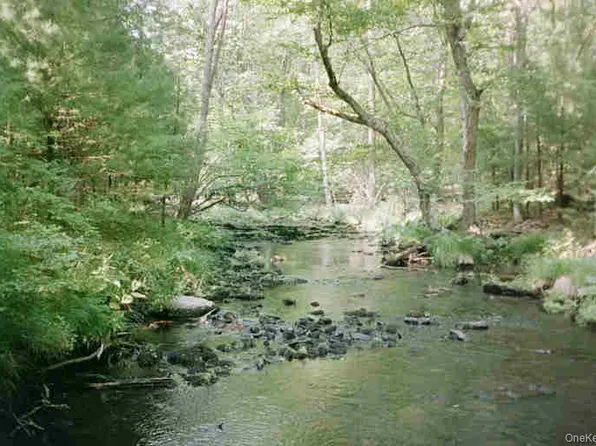 Lot 59.2 Lower Lumber Road, Glen Spey, NY 12737