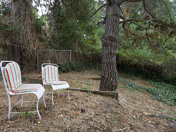 Serenity high among the trees