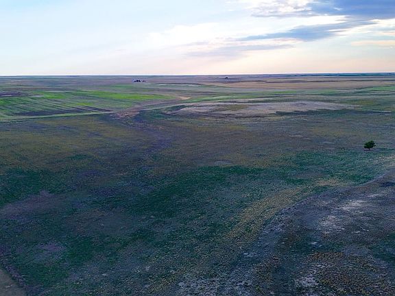 Dji Fly 20260719 191032 0972 1784586350891 Photo