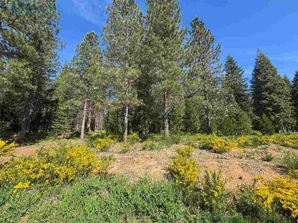 LOT 8 Old Mill Dr, McCloud, CA 96057