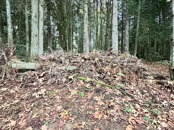 0 Vacant Land (N/A), Port Orchard, WA 98366