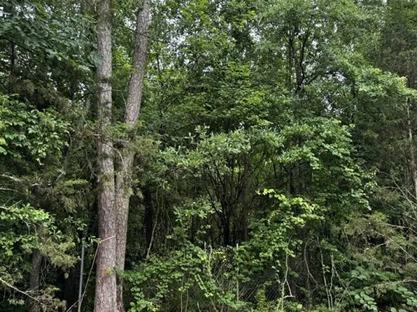 0 Lewis Dr Lot 17, Lavonia, GA 30553