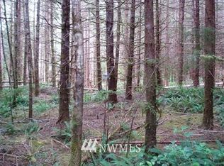 1009 S Salmon Creek Rd, Naselle, WA