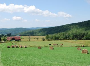 1380 Finch Rd, Franklin, NY 13775