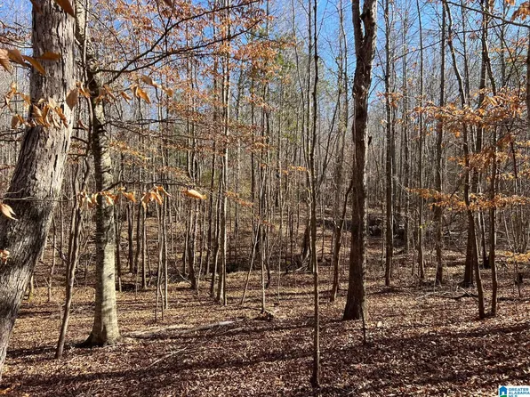 County Rd, Verbena, AL 36091