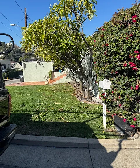919 Cherokee Ln — Photo 2