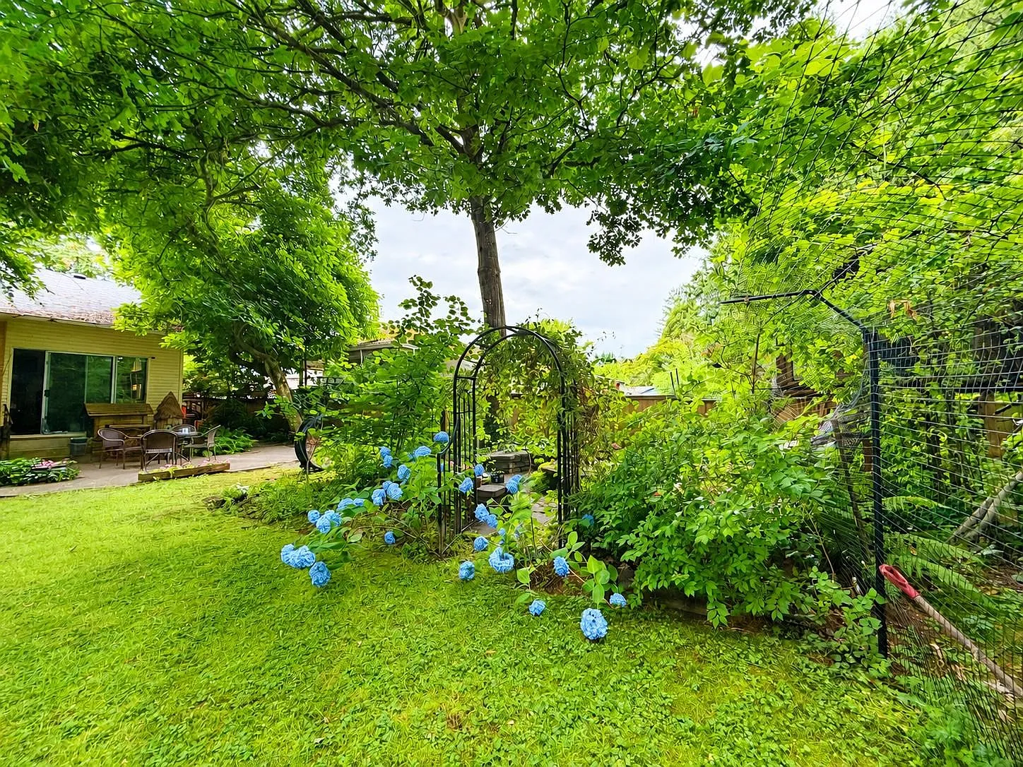2 bed, 817 sqft, $1,850 — Photo 2