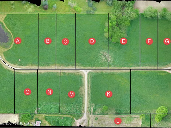 0 Pinebluff Dr Parcel P, Charlotte, MI 48813