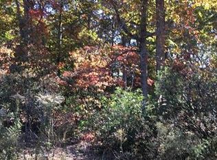 302 S Oconeechee Ave, Black Mountain, NC 28711