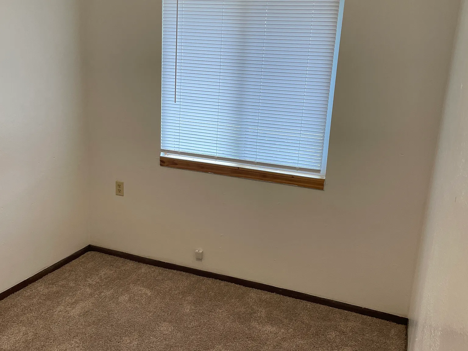 Ithaca 1 Apartments — Photo 4