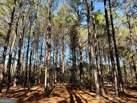 2nd image of 0 Shady Grove Rd