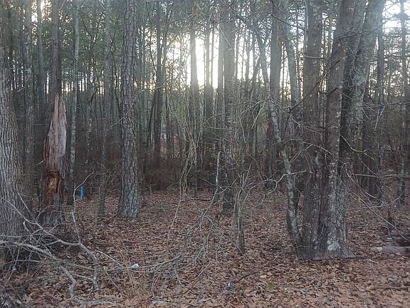 2nd image of 90 Harville Rd