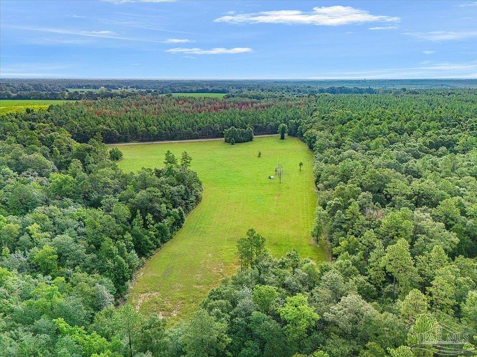 1st image of Gin Rd
