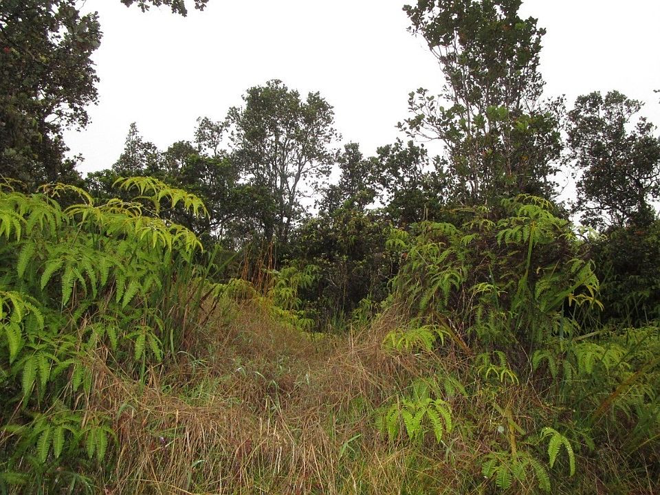 2nd image of Nahelenani St Lot 53-B