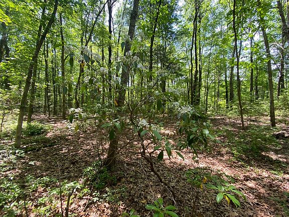 5th image of 91 Burbank Rd Lot 1