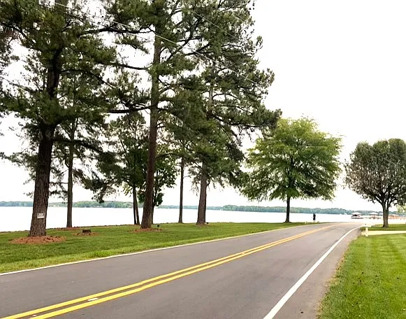 Water view from Isle of Pines Road - Great road for walks/bike rides, close to the house.
