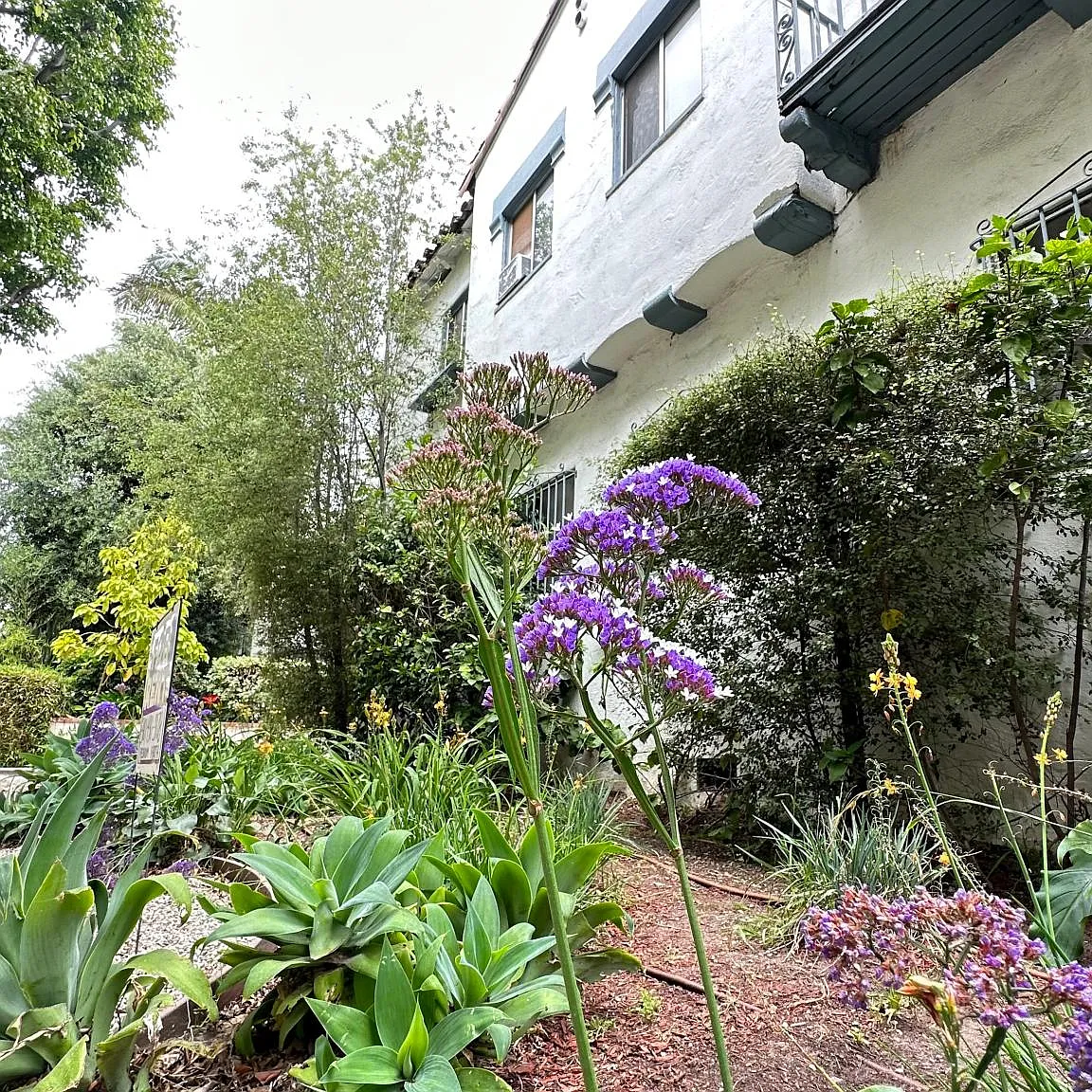 1 bed, 725 sqft, $2,395 — Photo 1
