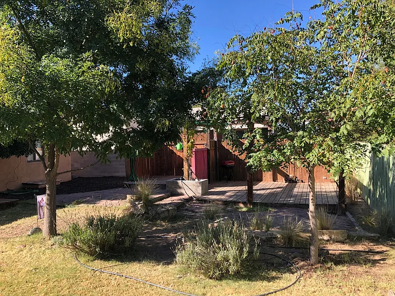 Backyard w/ irrigation on timer
