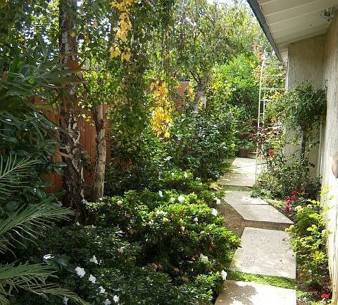 Sideyard Garden